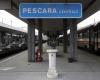 DER MAREMMANO-HIRTENHUND „NINA“ VERPASST UND VON EINEM Obdachlosen am Bahnhof Pescara geschlagen | Aktuelle Meldungen