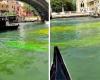 Was wissen wir über den Canal Grande von Venedig, der heute grün und rot gefärbt war?