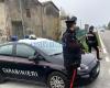Maxi-Kontrollen durch die Rovigo Carabinieri, Massaker an Führerscheinen und eine Flut von Beschwerden