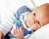 Kampanien: Gutschein für Neugeborene, die Liste der angeschlossenen Händler wurde aktualisiert