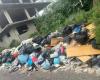 Klagen über Umweltkatastrophen für diejenigen, die illegal Müll entsorgen