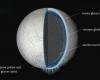 Identifizierung von Zellen in den Eiskörnern von Enceladus