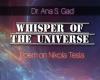 „Whisper of the Universe“ wurde heute von Ukiyoto Publishing – Italianewsmedia.it – PC Lava – Magazine Alessandria veröffentlicht