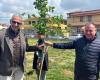 Einhundert neue Bäume für den Park „Tommaso Forti“ in Fiumicino • Terzo Binario News