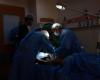 „Meine Arbeit im Rafah-Krankenhaus, wo ich jeden Tag die verzweifelten Schreie verletzter Kinder höre“