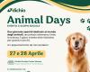 Umwelt-Kultur-Veranstaltungen – 24.04.2024 – Die Veranstaltung „Tage der Tiere“ in Matera
