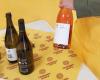 Pecorino auf dem Podium der meistverkauften Weine, Coldiretti Marche: „Über 110 Millionen Euro aus Qualitätsweinen“ – picenotime