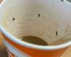 Trinkt mit Kollegen einen Kaffee aus dem Automaten, 21-jähriges Mädchen auf der Intensivstation: verunreinigte Tasse, anaphylaktischer Schock