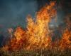 Carlentini | Prävention und aktive Bekämpfung von Waldbränden: eine Verordnung erlassen » Webmarte.tv