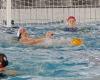 Wasserball, Cosma Vela Ancona im ersten Akt des Playoff-Halbfinales – Sportnachrichten – CentroPagina