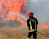 Syrakus. Brandverhütung und Säuberung von Brachflächen, Verordnung erlassen: Inkrafttreten voraussichtlich einen Monat später