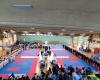 Beim Karate Fik Italian Cup 2024 gewinnt die Keikenkai-Schule 6 Gold-, 8 Silber- und 7 Bronzemedaillen