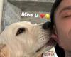 Fedez und die Nostalgie des Hundes Paloma: Er postet ein Foto mit einem „Kuss“, Chiara Ferragni antwortet mit einer Liebkosung