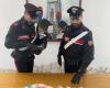 Pomezia / Flüchtet, als Streife aufhört: 41-Jähriger festgenommen, ebenfalls wegen Verdachts auf Drogenhandel festgenommen