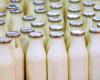 „Verbrannte Milch mit Natronlauge und Wasserstoffperoxid ‚korrigiert‘“: Großbeschlagnahme in einem Unternehmen der Marche TreValli-Gruppe
