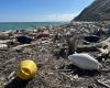 Fiorenzuola di Focara, Mms befreit den Strand von 3 Tonnen Schutt – Nachrichten Pesaro – CentroPagina