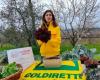 Landwirtschaft: In Apulien gibt es fast 30.000 Unternehmen, die von Frauen unter 35 Jahren geführt werden