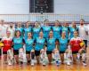 Volleyball. Die Bilanz der Saison von Fenix ​​​​Energia aus Faenza, die in der Serie C-Meisterschaft spielte