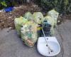 Mister Green Company, es ist ein Rekord: 44,65 Kilo Abfall wurden in der Via dell’Artigianato – Livornopress gesammelt