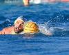 Wasserball, Dominanz von Pro Recco: Klarer Sieg in Spiel 1 des Halbfinales gegen Ortigia