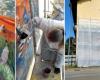 Vergiate Impressionista: Ein neues Wandgemälde kommt in Corgeno an. Es wird ein Renoir sein