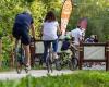 Das Treviso-Ostiglia-Fest ist zurück: 100 Veranstaltungen entlang des 70 Kilometer langen Radweges | Heute Treviso | Nachricht
