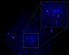 Einstein-Sonde: Das europäisch-chinesische Röntgen-Weltraumteleskop hat die ersten Bilder aufgenommen