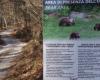 Bären im Trentino: Tierschützer blockieren die Mautstelle der A22 | Heute Treviso | Nachricht