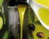 Trani: Obst und Gemüse, Öl und Wein als „Made in Italy“ ausgegeben: Große Beschlagnahme in Apulien