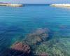 Sauberes Meer in Giovinazzo. Arpa Puglia zertifiziert es