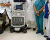 Kriminalität im Krankenhaus, zwei Ultraschallsonden verschwinden aus dem Tresorraum. Diebstahl gegen Provision von 20.000 Euro