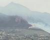 Brände, die Wunde auf dem Berg Inici: 130 Hektar mediterranes Gestrüpp in Rauch