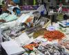 Fischmarkt, Hinterhalt des Unternehmers, neue in der Berufung anerkannte Verantwortlichkeiten tauchen auf