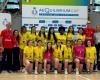 Volleyball Fipav Rovigo, schöne Erfahrung der Polesine-Auswahlen bei der Territories Trophy