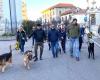 Nicht mehr nur ein Spaziergang mit Hunden: Der „Sechsbeinnachmittag“ feiert sein Debüt in Busto