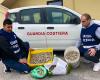 Muscheln ohne Etikett in Catania: Küstenwache wirft sie zurück ins Meer und verhängt eine Geldstrafe gegen den Verkäufer