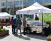 Ab dem 9. Mai kommt der Slow Food Market auf die Piazza Carlo Alberto – TravelEat