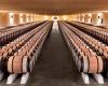 Vom Signal zum Trend: Der Rückgang der Bordeaux-Weinpreise geht weiter: Mouton Rothschild bei -37,2 %