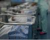 In Verona kehrt die Angst um Citrobacter zurück, das Bakterium, das 98 Neugeborene infiziert hat