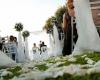 Hochzeitszeremonie, in Olbia verbietet der Bürgermeister Nizzi, den Teller zu zerbrechen