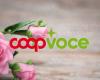 CoopVoce verschenkt 3 Monate Evo 200 mit 200 GB, Minuten und 1000 SMS zum Muttertag – MondoMobileWeb.it | Nachrichten | Telefonie