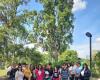 Pescara, Studenten entdecken das Fluvia-Ökomuseum am Fluss – Nachrichten aus den Abruzzen