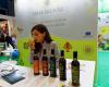 Die Wiedereinführung der Herkunftsbezeichnung Olivenöl in den Händen von Olivenbauern und Müllern