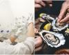 Sechs betrunkene Menschen nach dem Mittagessen am Meer: Austern im Fadenkreuz