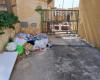 Hohes Gras, Abfall und Mücken in Erice. Der maltesische Stadtrat bittet um dringendes Eingreifen
