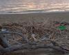 „Strand ohne Abfall“, zwei Tage, um die Küste in San Pietro Lametino zu reinigen