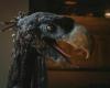 Terrorvogel, der 100 kg schwere prähistorische gefiederte Fleischfresser, der aussieht, als käme er aus Jurassic Park
