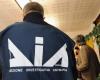 ‘Ndrangheta und Drogen, 142 in Cosenza ermittelt: Maxi-Operation gegen den „italienischen Clan“