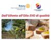 RENDE (CS) – Das öffentliche Rotary-Treffen „Vom Olivenhain zum hochwertigen nativen Olivenöl extra“