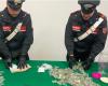 Castellammare di Stabia – 330 Gramm Marihuana und Haschisch beschlagnahmt: 21-Jähriger in Handschellen